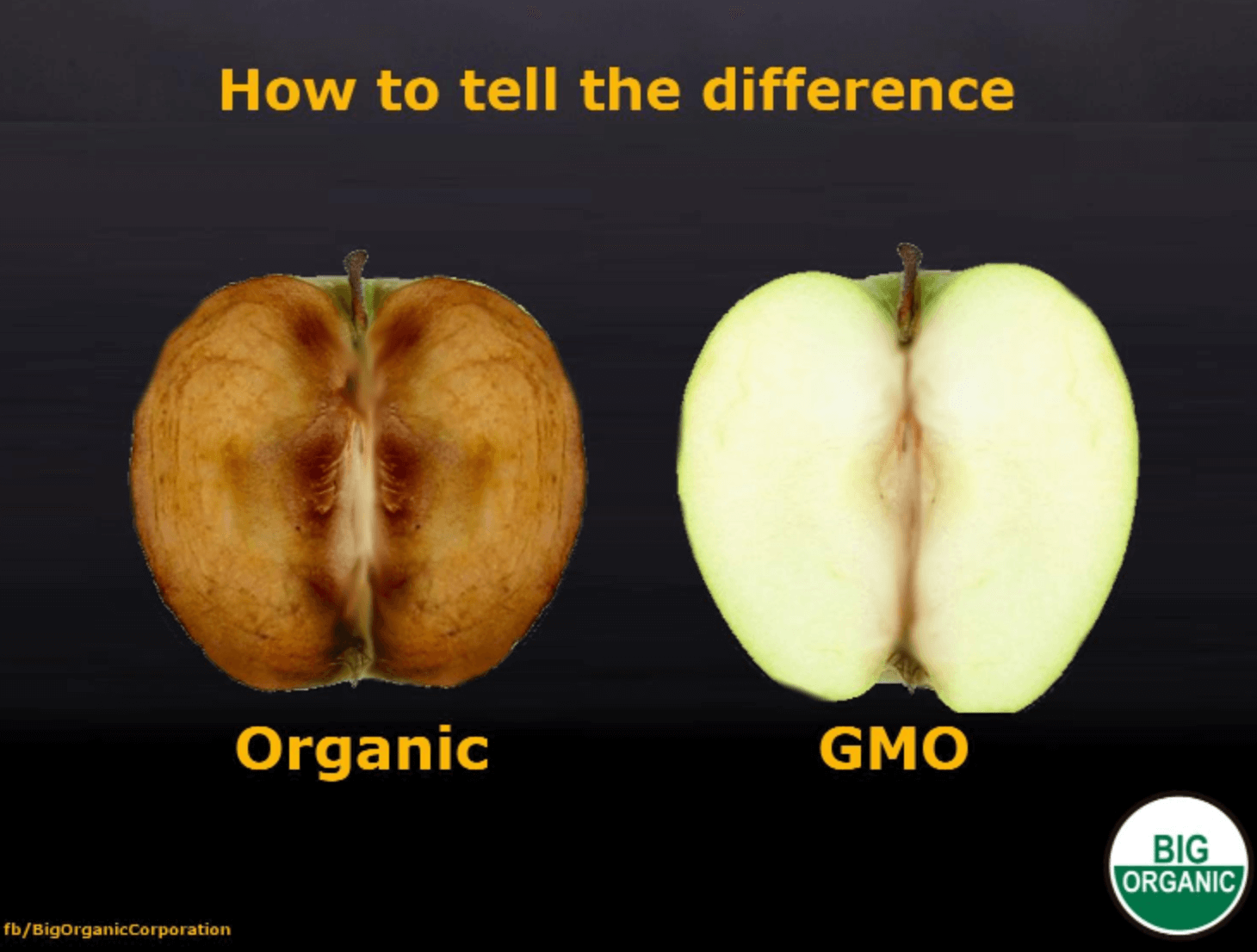 What is the difference between GMO and organic?
